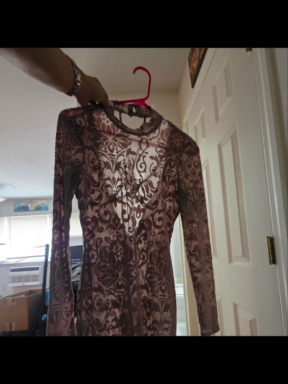 iris Mauve Floral Burnout Sheer Long-Sleeve Dress